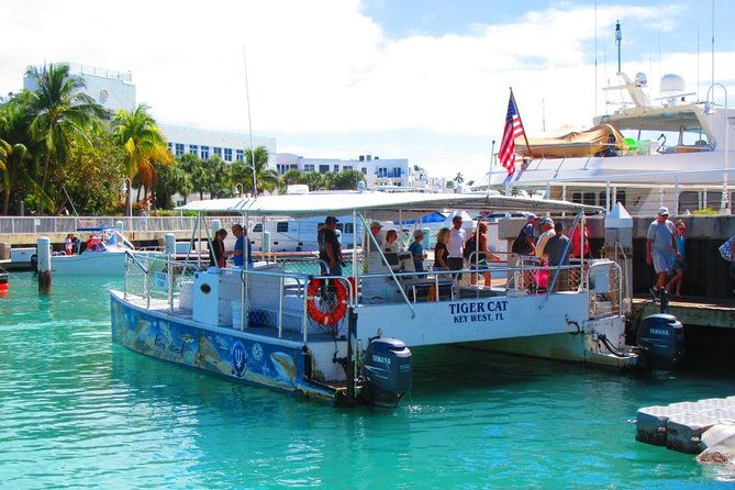 shark-and-wildlife-viewing-adventure-in-key-west