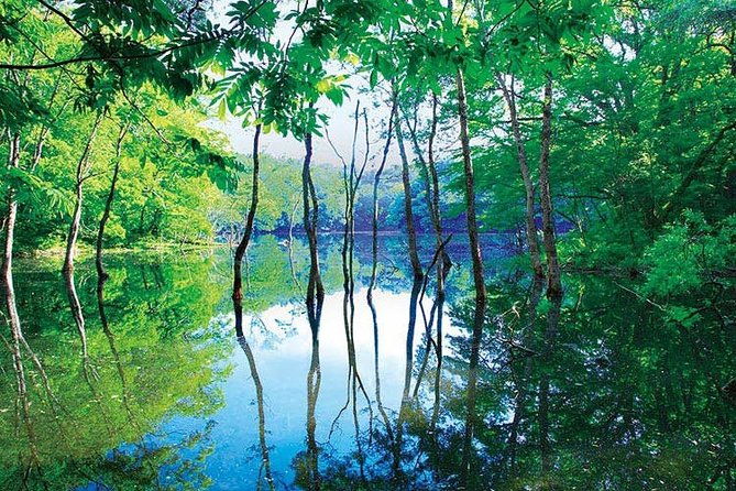 shirakami-sanchi-day-hike-with-government-licensed-guide