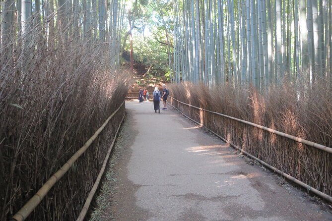 shore-excursion-full-day-private-kyoto-tour-from-osaka-kobe-port