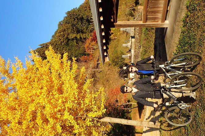 short-morning-cycling-tour-in-hida