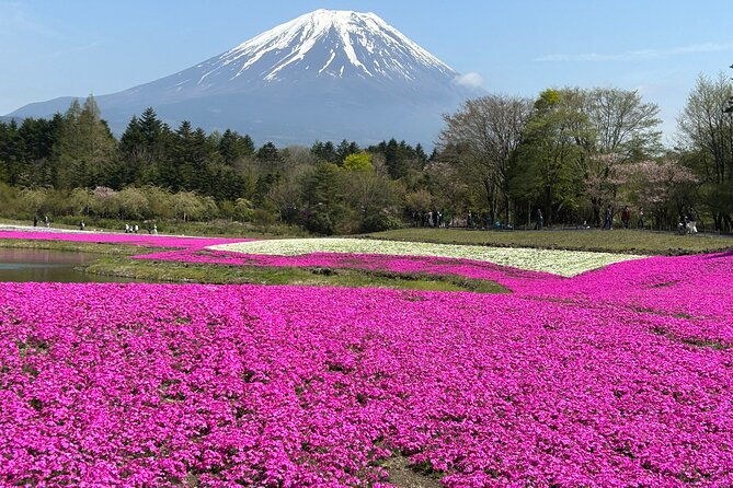 shuttle-van-tour-mt-fuji-from-tokyo-and-yokohama
