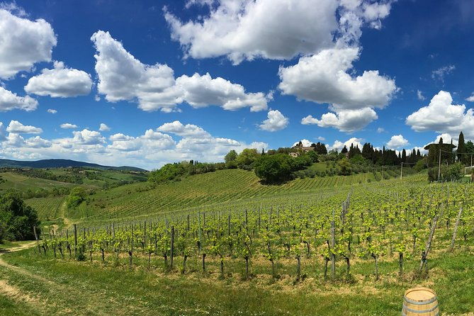siena-a-wine-tour-and-tasting-experience