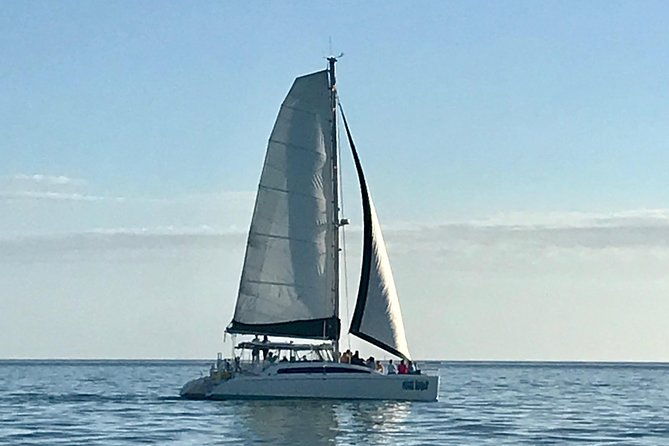 sightseeing-and-sunset-catamaran-sailing-excursion