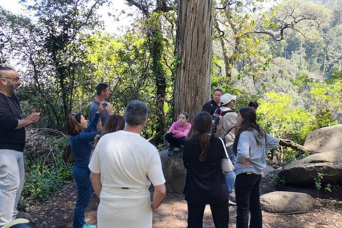 sintra-all-palaces-small-groups-2-6pax-private-tour