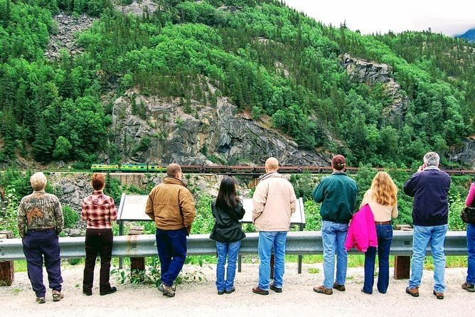 skagway-shore-excursion-half-day-tour-to-the-yukon-border-and-suspension-bridge