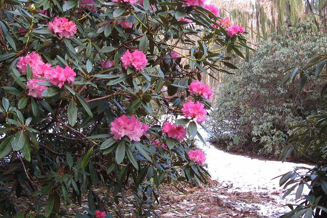 skip-the-line-botanic-garden-entry-ticket