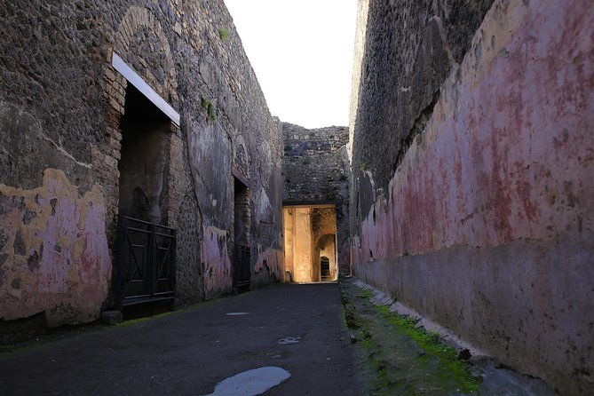 skip-the-line-guided-tour-of-pompeii-led-by-an-archaeologist