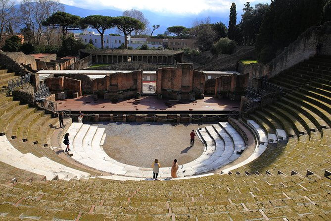 skip-the-line-half-day-private-tour-ancient-pompeii-highlights-with-native-guide