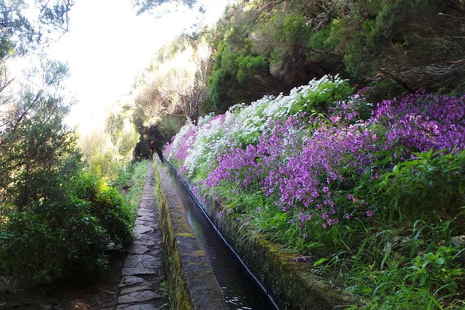 skywalk-4x4-experience-and-rabacal-25-fountains-levada-walk