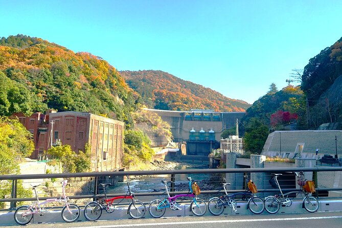 slow-cycling-tour-at-ujis-matcha-green-tea-fields-and-heritage