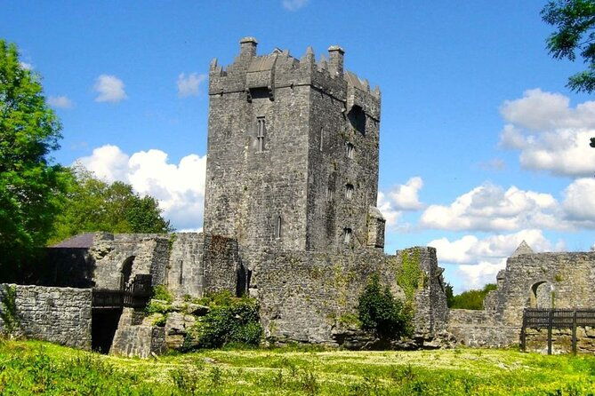 small-group-aughnanure-castle-sheepdog-demo-connemara-tour