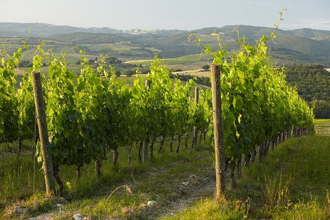 small-group-chianti-trip-with-wine-tasting-from-siena