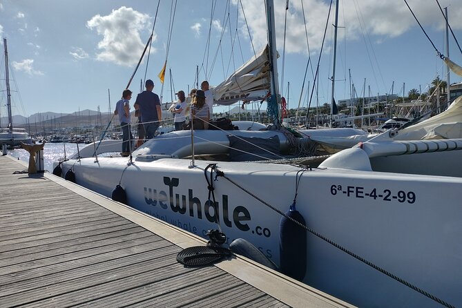 small-group-dolphin-sunset-tour-on-electric-catamaran-lanzarote