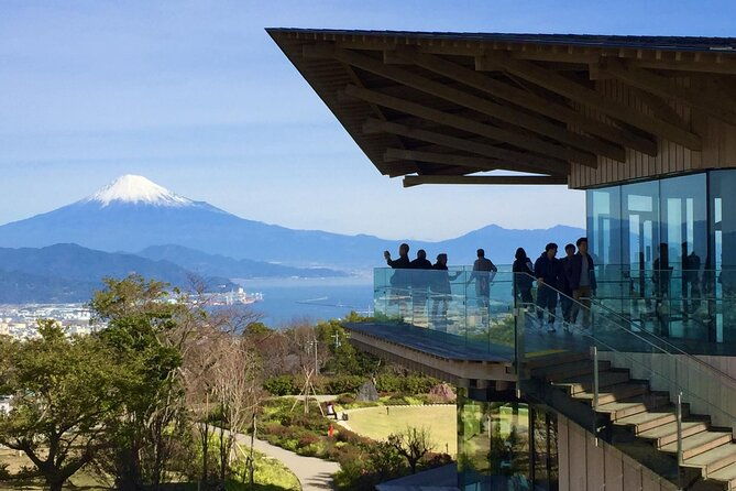 small-group-japanese-green-tea-tasting-in-shizuoka
