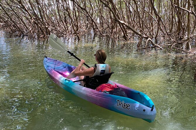 small-group-kayak-tour-of-the-shell-key-preserve