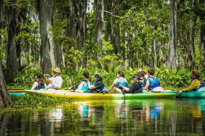 small-group-manchac-swamp-kayak-tour-with-local-guide