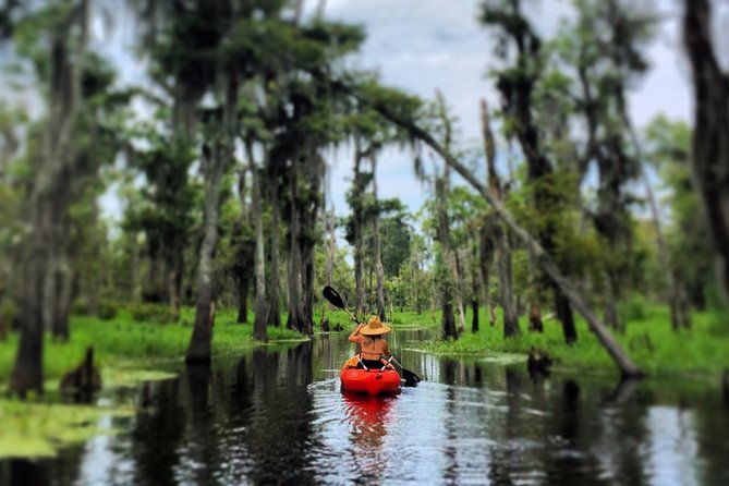 small-group-manchac-swamp-kayak-tour