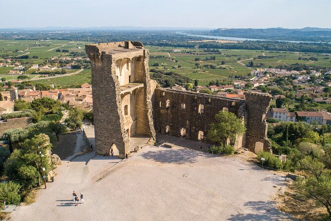 small-group-marseille-shore-excursion-avignon-chateauneuf-du-pape-wine-tour