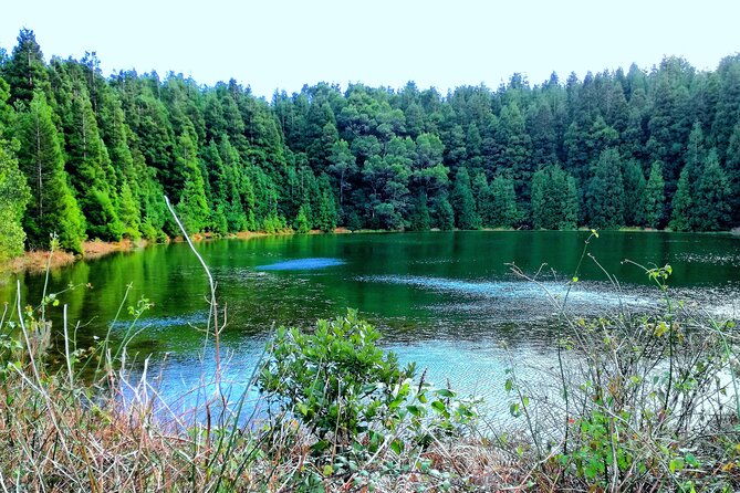 small-group-minivan-half-day-sete-cidades-crater-tour