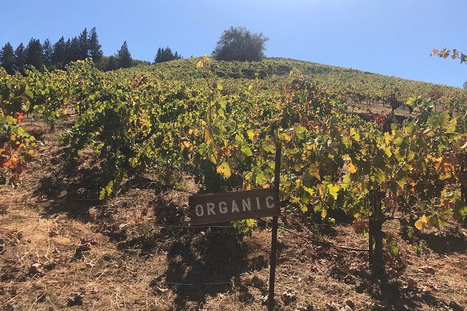 small-group-wine-country-tour-from-san-francisco-with-tastings