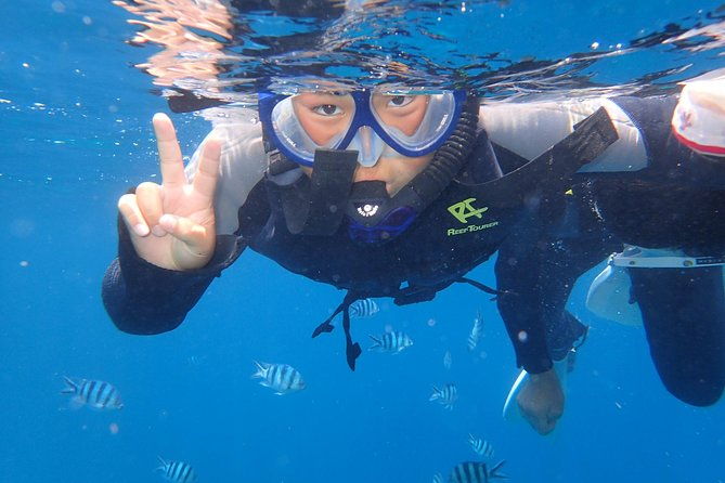 snorkeling-in-the-blue-cave-area%e3%80%90okinawa-prefecture-free-feeding-photo-imagesenglish-and-chinese-speaking-guide-available
