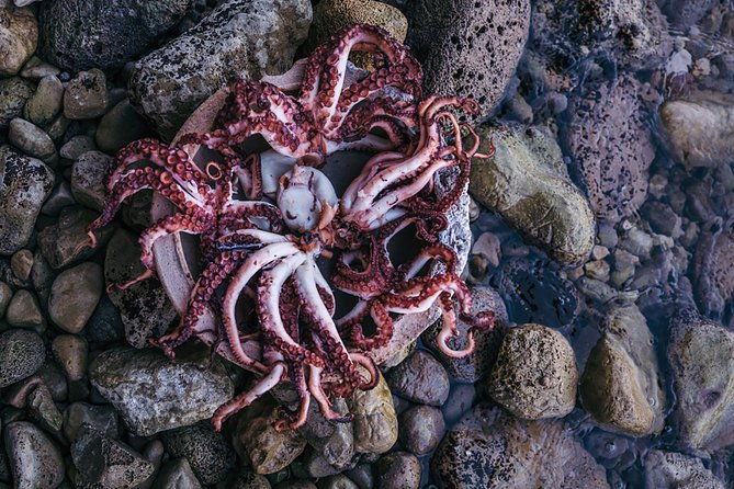 somebody-feed-phill-gastro-tour-gverovic-orsan