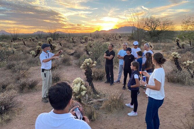 sonoran-desert-jeep-tour-at-sunset