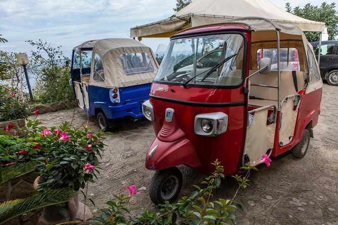 sorrento-farm-by-tuk-tuk-cheese-limoncello-hands-on-pizza