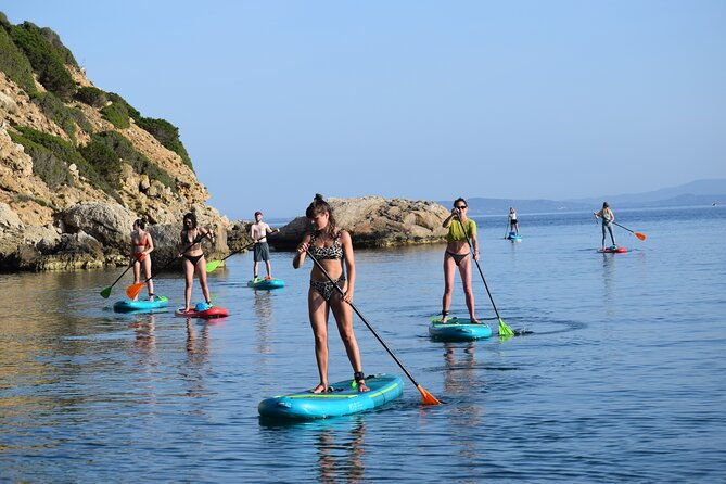 stand-up-paddle-with-dolphins