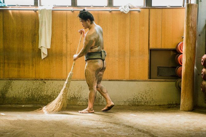 sumo-training-session