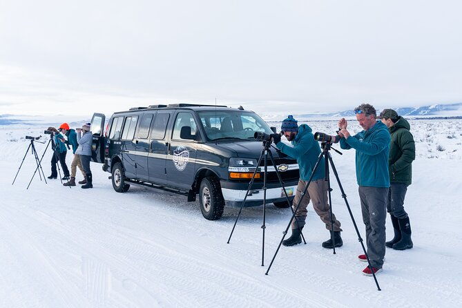 sunrise-4-hour-grand-teton-wildlife-adventure