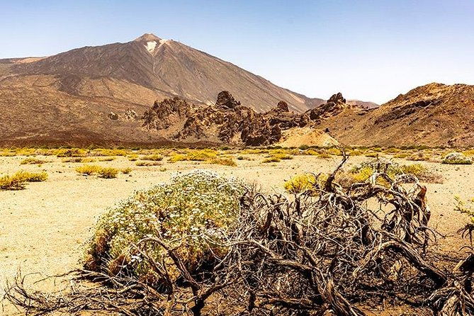 tenerife-highlights-full-day-tour