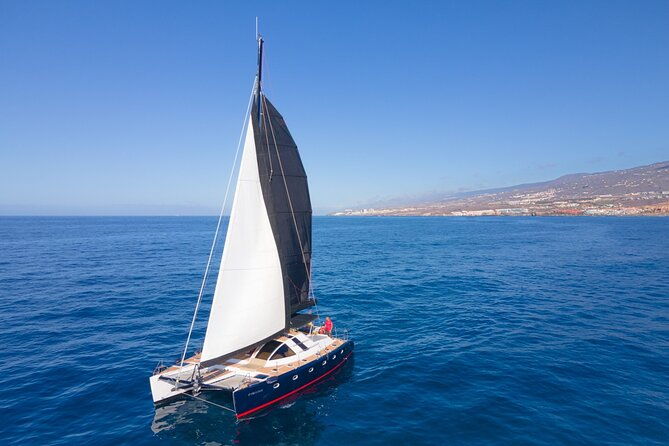 tenerife-whale-watching-on-private-charter