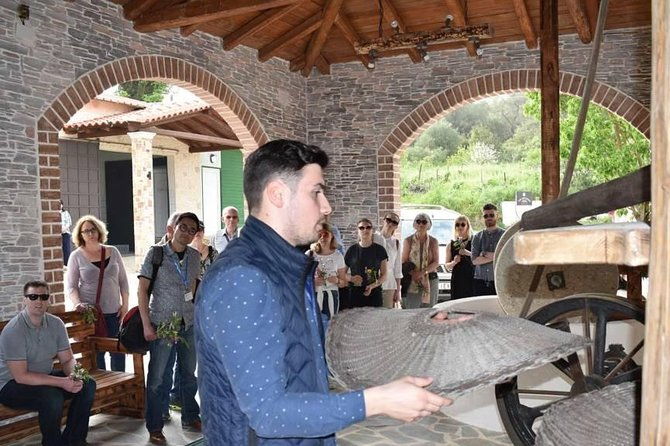 the-governors-olive-mill-tour-with-olive-oil-tasting