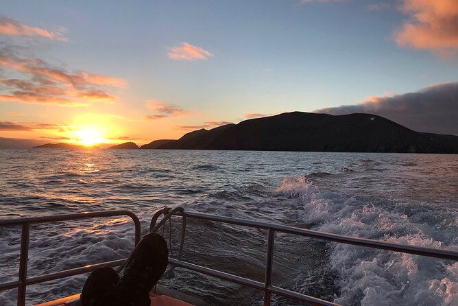 the-great-blasket-island-experience-premium-tour