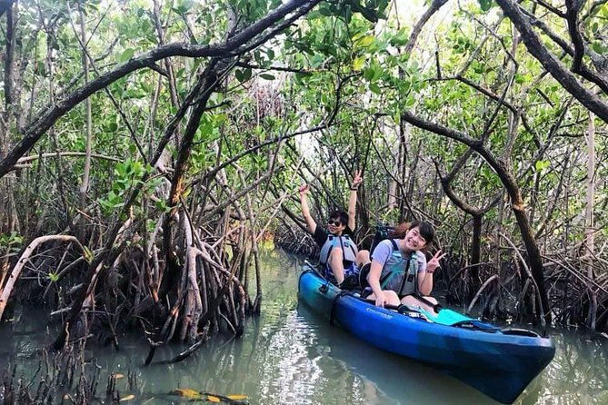 thousand-island-mangrove-tunnel-manatee-dolphin-kayak-tour-w-cocoa-kayaking