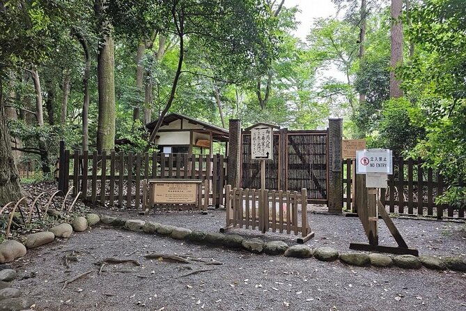 tokyo-cherry-blossom-private-one-day-tour