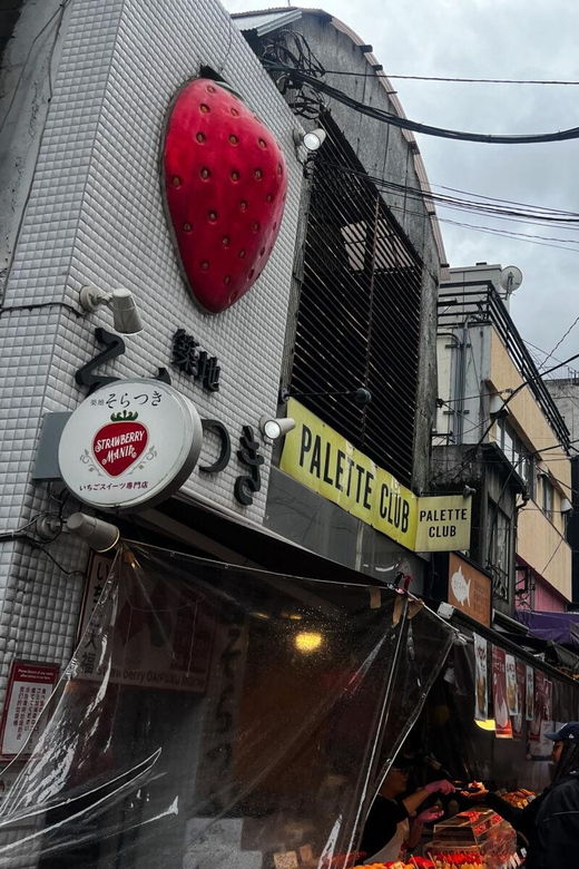 tokyo-highlights-tour-sumo-sushi-tea-and-tokyo-tower