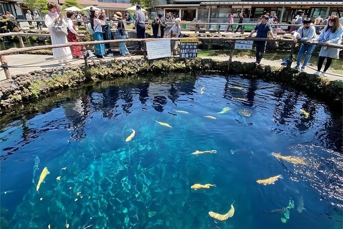 tokyo-mt-fuji-area-oshino-hakkai-kawaguchi-lake-day-trip-2