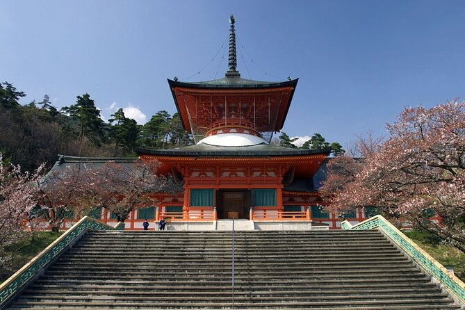 tokyo-nagano-snow-monkey-park-and-zenkoji-temple-with-guide