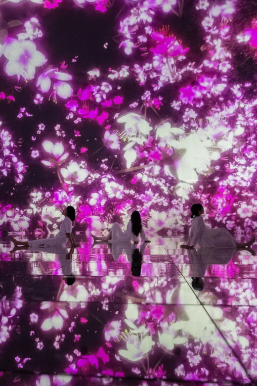 tokyo-teamlab-planets-tokyo-digital-art-museum-entry-ticket