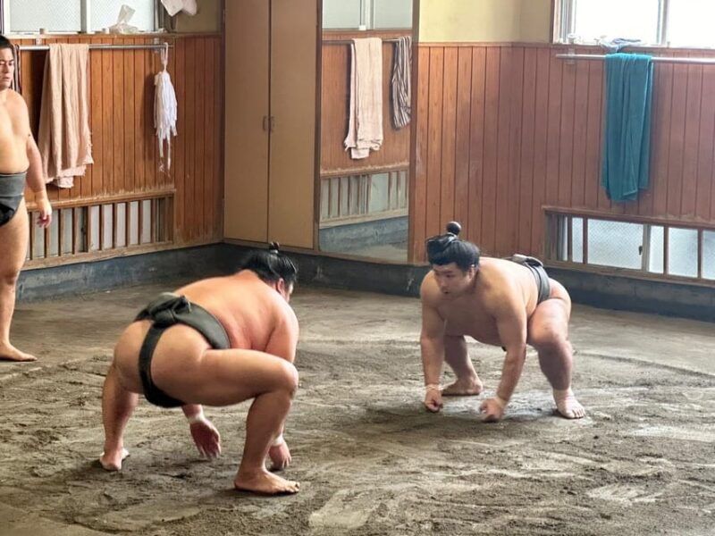 tokyo-visit-sumo-morning-practice-with-english-guide
