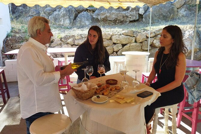 top-wine-tour-vineyard-cellar-visit-6-top-wines-tapas