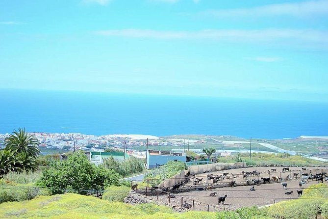 tour-around-the-island-private-vip-tour-in-tenerife