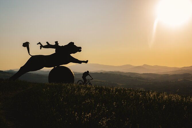 tour-in-the-marche-by-raffaello-sanzio-art-nature-food-and-wine