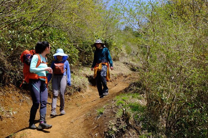 traverse-outer-rim-of-hakone-caldera-and-enjoy-onsen-hiking-tour