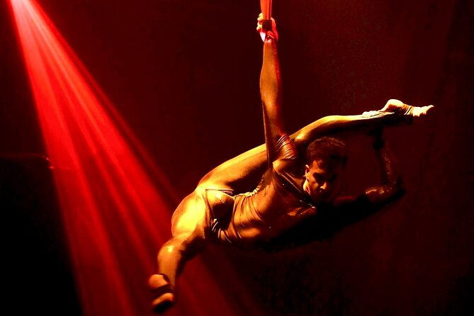 troy-dinner-show