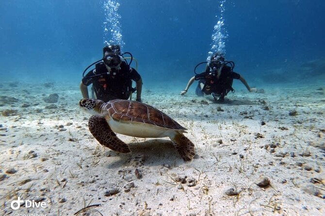 try-a-scuba-diving-experience