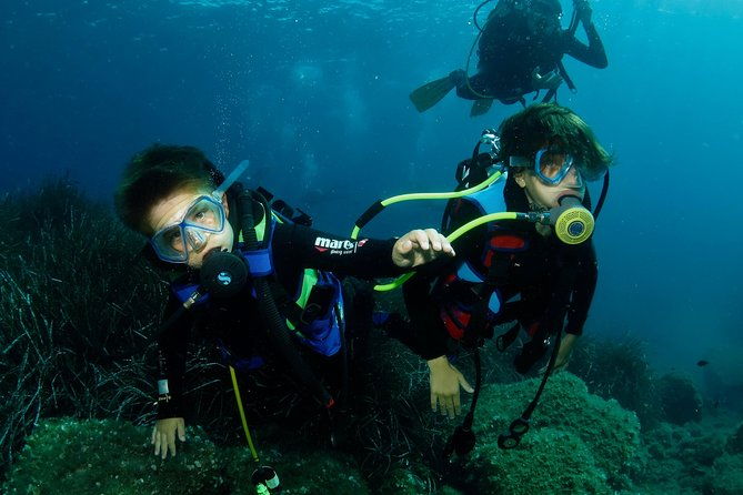 try-scuba-diving