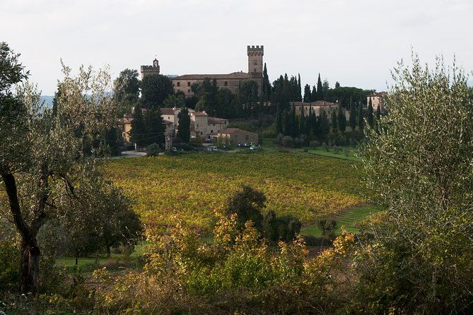 tuscany-vespa-tours-through-the-hills-of-chianti